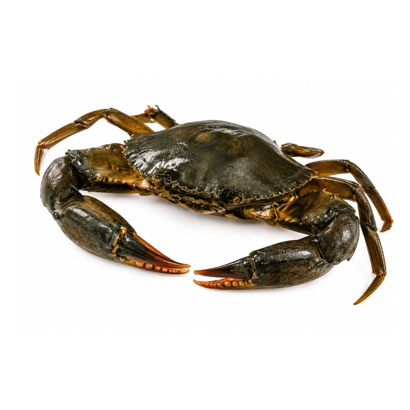 Crabs